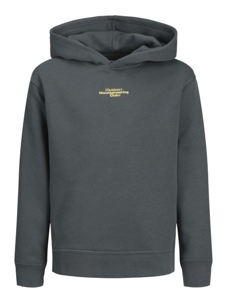 JACK&JONES Hoodie JCOALPHA MOUNTAIN PRINT 10764124