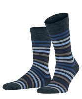 Vorschau: FALKE Strümpfe Tinted Stripe SO 10527020