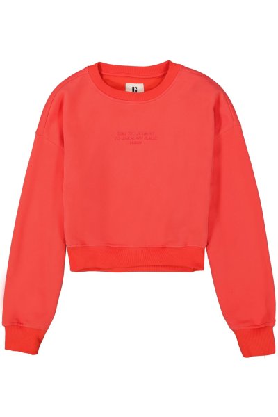 GARCIA Sweatshirt 10764342