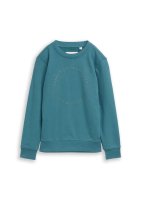 Vorschau: Tom Tailor Denim Basic Sweatshirt mit Print 10840976