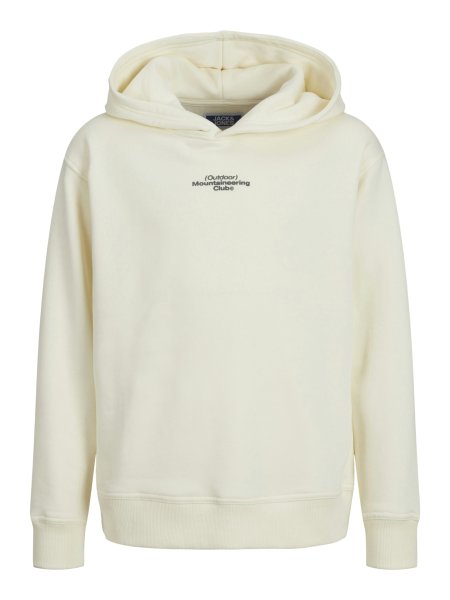 JACK&JONES Hoodie JCOALPHA MOUNTAIN PRINT 10764124