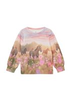 Vorschau: S.OLIVER Sweatshirt mit Sublimation-Print 10814531