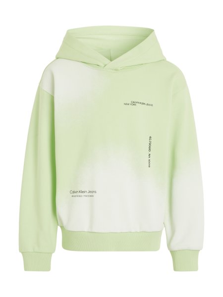 CALVIN KLEIN Hoodie 10728756