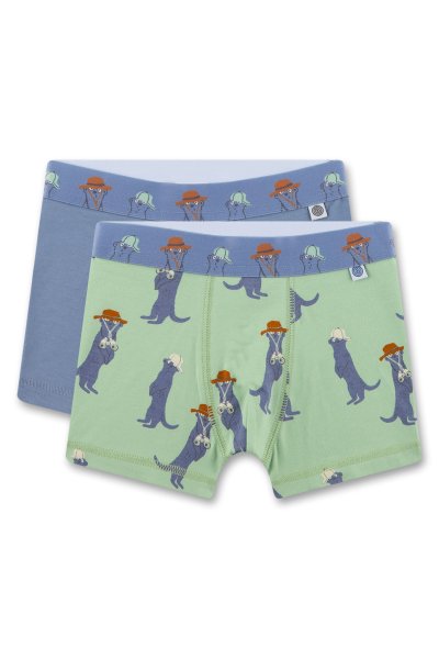 SANETTA Jungen-Hipshorts Doppelpack 10796469