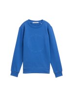 Vorschau: TOM TAILOR DENIM Sweatshirt mit Print 10819432