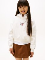 Vorschau: TOMMY HILFIGER Flag Hoodie 10805214