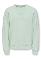 Vorschau: ONLY Kids Shirt 10820032