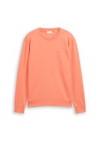 Vorschau: Tom Tailor Sweatshirt mit Rundhalsausschnitt 10840960