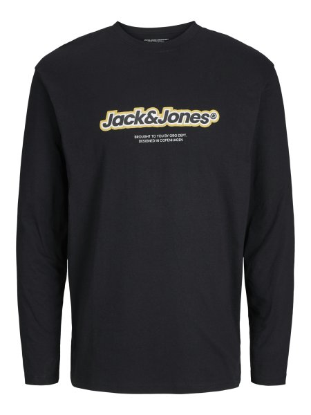 JACK&JONES Sweatshirt JORVESTERBRO NEWTON 10764126