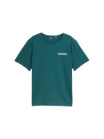 Vorschau: TOM TAILOR Shirt mit Print 10819406