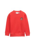 Vorschau: TOM TAILOR DENIM Sweatshirt 10825355