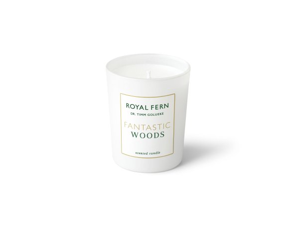 Royal Fern Fantastic Woods Scented Candle