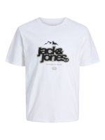 Vorschau: JACK&JONES T-Shirt 10813952