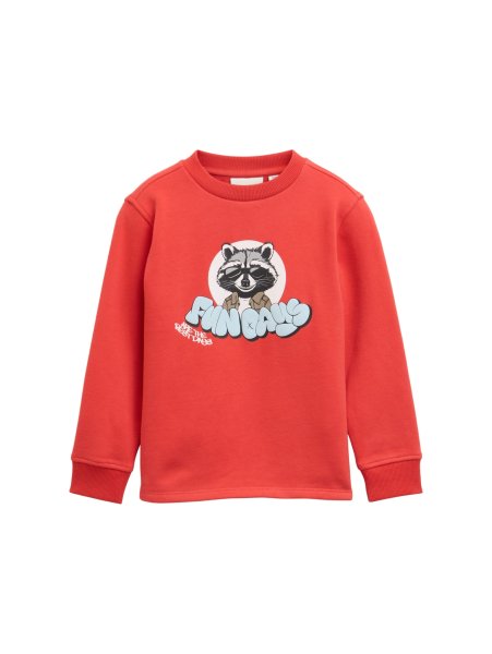 TOM TAILOR DENIM Sweatshirt mit Print 10825354