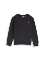 Vorschau: TOM TAILOR DENIM Basic Sweatshirt mit kleiner Dino-Stickerei 10819435