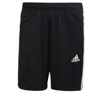 Vorschau: ADIDAS Trainingsshort 10639880