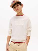 Vorschau: TOMMY HILFIGER Strickpullover 10796650