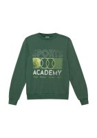 Vorschau: S.Oliver Gewaschenes Sweatshirt mit Frontprint 10826992