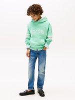 Vorschau: TOMMY HILFIGER Jeans 10796642