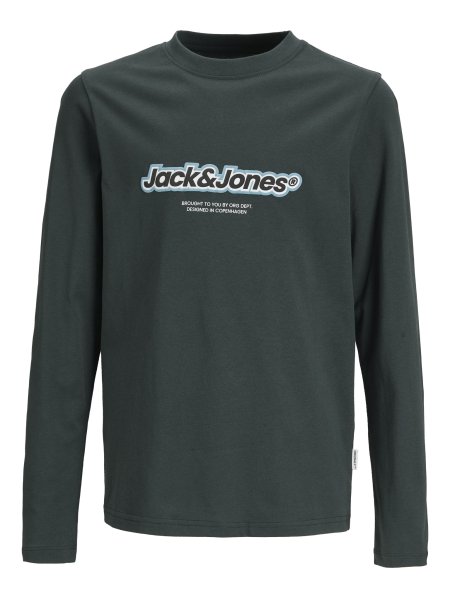 JACK&JONES Sweatshirt JORVESTERBRO NEWTON 10764126