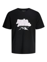 Vorschau: JACK&JONES T-Shirt 10813952