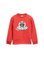 Vorschau: TOM TAILOR DENIM Sweatshirt mit Print 10825354