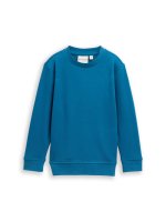 Vorschau: TOM TAILOR DENIM Sweatshirt mit Print 10830065