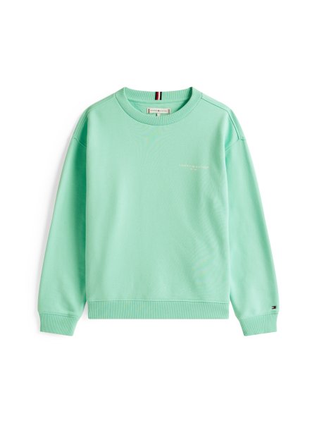 TOMMY HILFIGER Sweatshirt 10796653