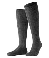 Vorschau: FALKE Teppich im Schuh Herren Socken 02449947