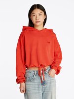 Vorschau: TOMMY JEANS Hoodie mit Logo 10781255