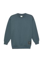 Vorschau: S.OLIVER Sweatshirt mit Rippbündchen und Logo-Patch 10765129