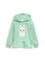 Vorschau: TOM TAILOR DENIM Hoodie Sweatshirt 10825370