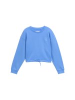 Vorschau: TOM TAILOR DENIM Sweatshirt mit Stickerei 10819419