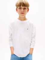 Vorschau: TOMMY HILFIGER Langarmshirt 10796660