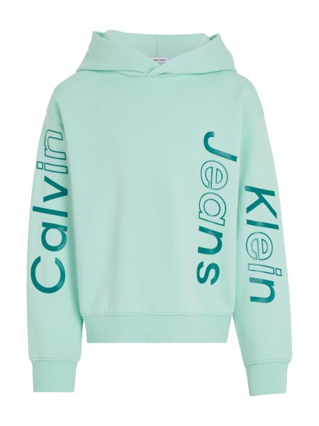 CALVIN KLEIN Hoodie 10734925