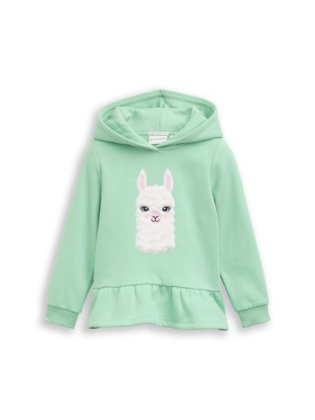 TOM TAILOR DENIM Hoodie Sweatshirt 10825370