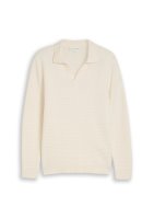 Vorschau: Tom Tailor Strickpullover mit Polokragen 10847784