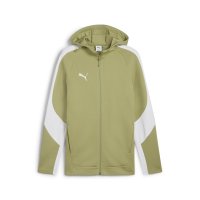 Vorschau: PUMA teamEvostripe Kapuzenjacke Herren 10781130