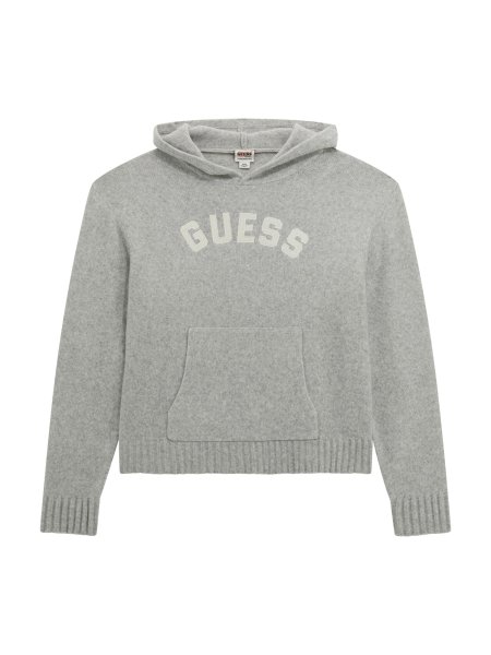 GUESS Sweater Hoodie 10794631