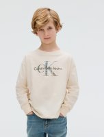 Vorschau: CALVIN KLEIN Lässiges Langärmliges Logo-T-Shirt 10796627