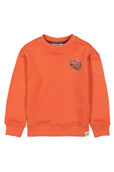 GARCIA Sweatshirt 10806279