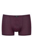 Vorschau: MEY Shorty 10832534